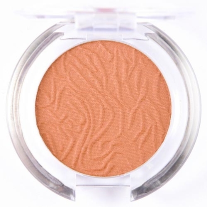 Picture of £1.99 LAVAL BLUSHERS CHINCILLA 107 (24)