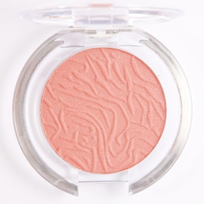 Picture of £1.99 LAVAL BLUSHER MULBERRY 101 (24)