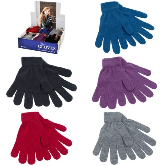 Picture of £1.00 LADIES MAGIC GLOVES (48) GL154CDU