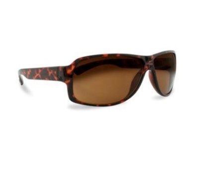 Picture of £3.99 MALE PROFILE SUNGLASSES (6) PRM143